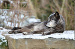 A Bath In The Morning Sun by Wincey