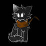 VOID OVERLOADDDDD