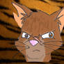 Tigerstar with background