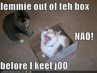 LOLCAT