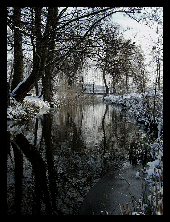 Winter_69