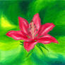 Pink Lily | Flower Oil Painting