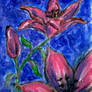 Pink Lilies Charcoal Acrylic Painting
