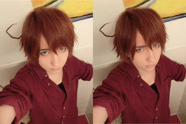 APH - Romano test