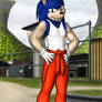 Prison Island Break - Sonic