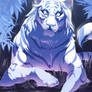 Tiger Eyes