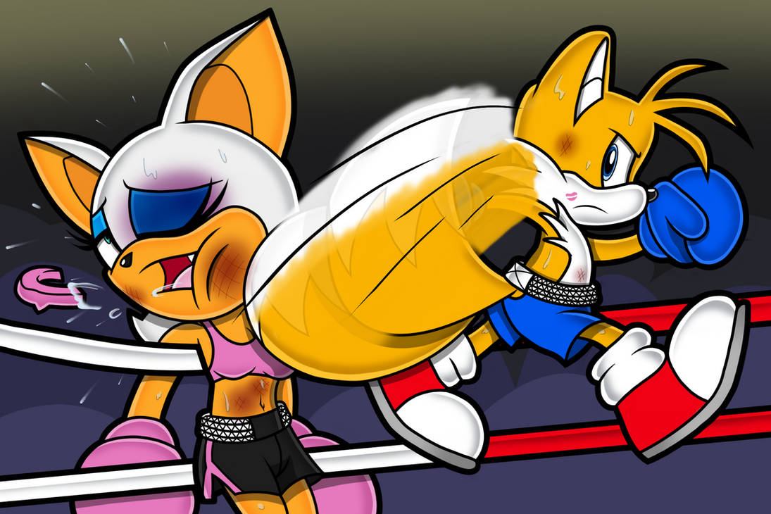 Deviantart Tails Boxing Rouge vs Tails by Toyminator900 on DeviantArt