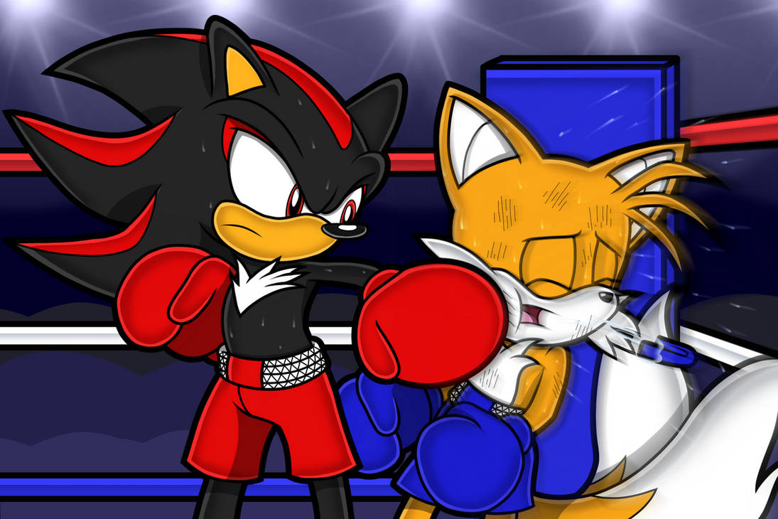 Deviantart Tails Boxing Shadow vs Tails by Toyminator900 on DeviantArt