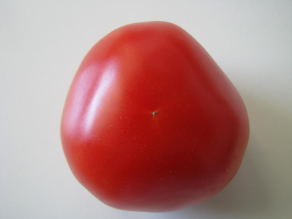 Tomato 02