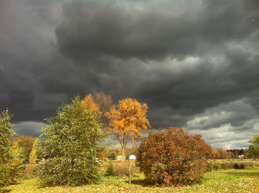 Autumn Storm