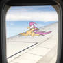 Scootaloo's First Flight