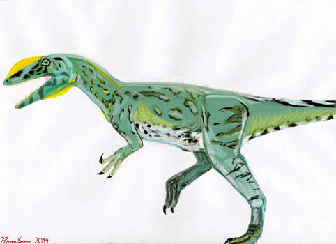 Dinosaurs Through Time: Liliensternus liliensterni