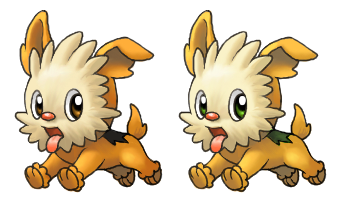 Lillipup