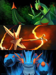 Mega Hoenn Starters by arkeis-pokemon