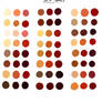 Skin Tones Palette