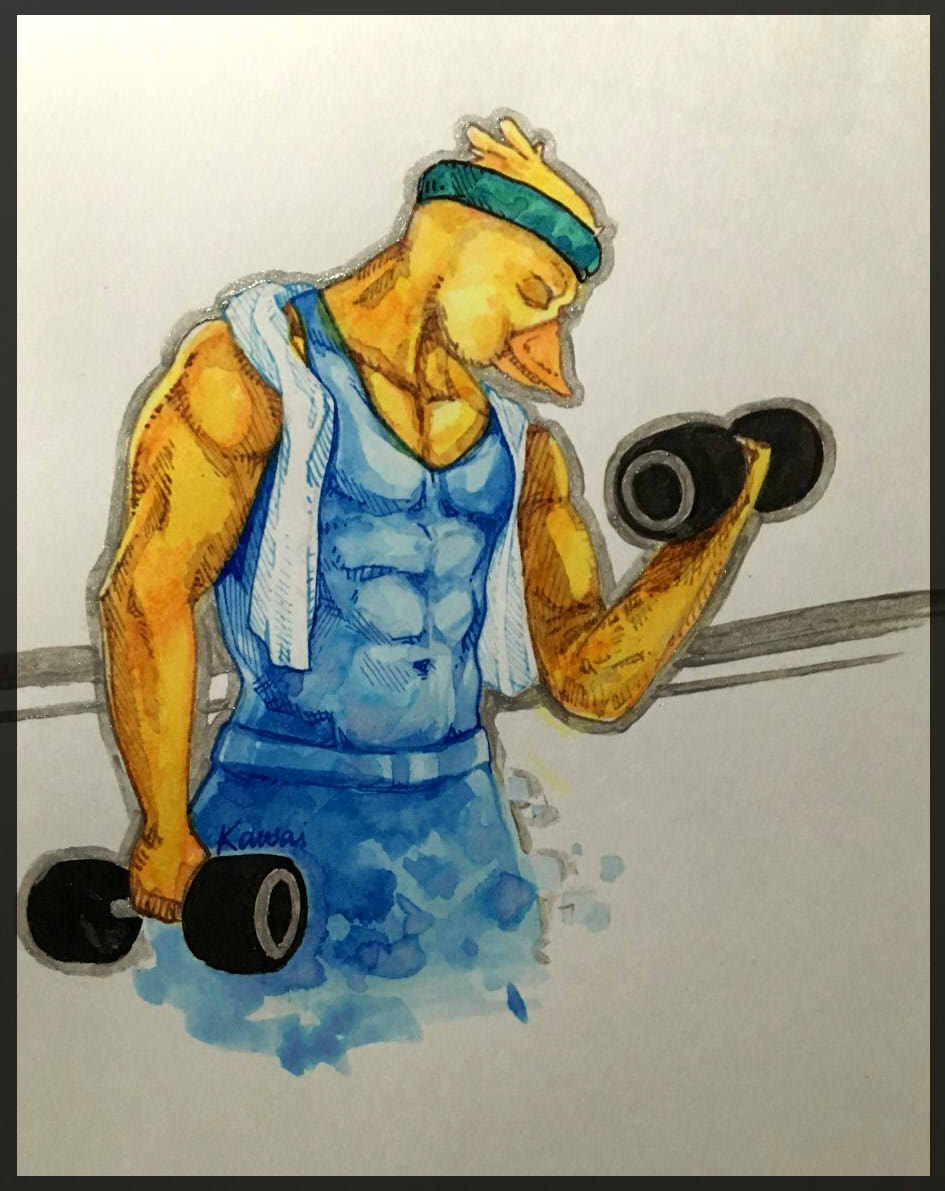 Animals. Muscle Deviantart Muscle Duck by Kawaaaai on DeviantArt