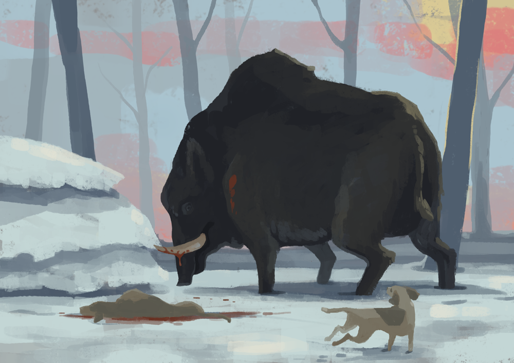 The Boar