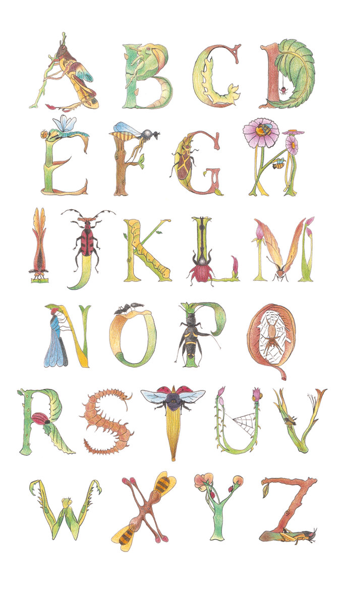 insect alphabet by giantbee on DeviantArt