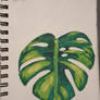 Palm Leaf - Alcohol-based Markers