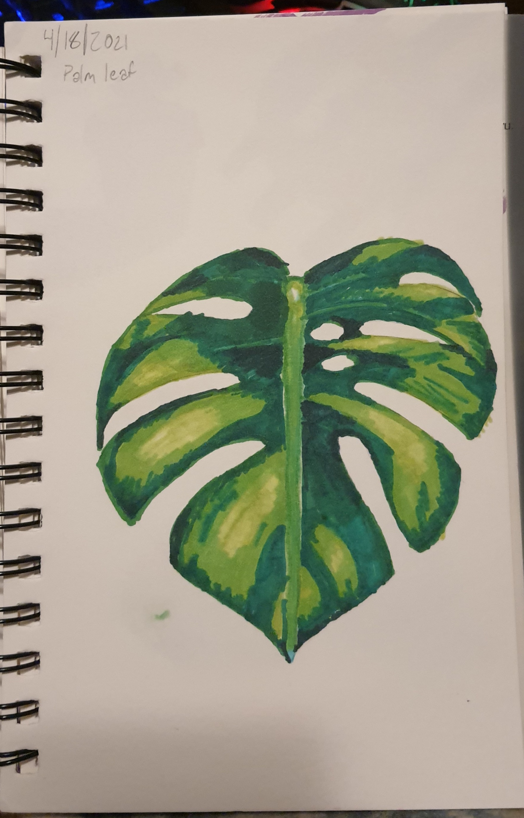 Palm Leaf - Alcohol-based Markers