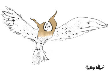 Owl doodles