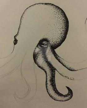 Stippling Octopus