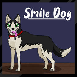 Smile Dog