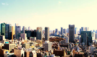 From Tokyo Tower