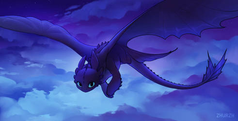 Night Fury in flight
