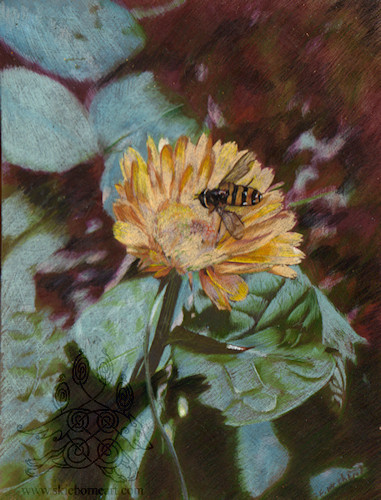 Pollinator by arikla