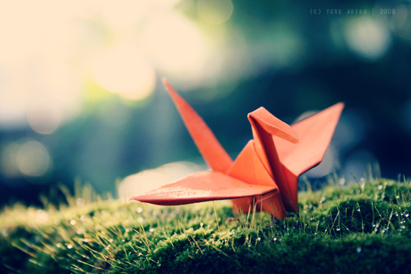 the flight of the crane by thresca the flight of the crane by thresca