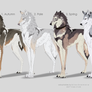 Wolf Adopts [closed]