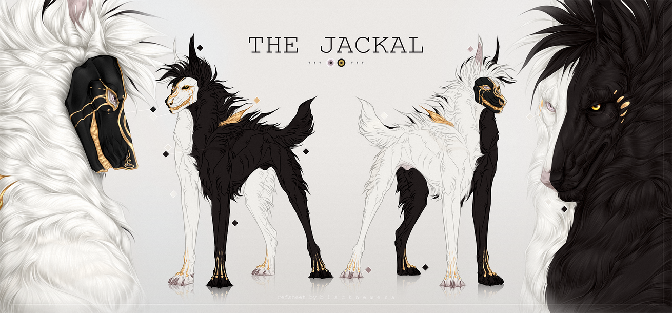 The Jackal Commission Refsheet by Blacknemera on DeviantArt