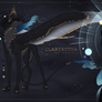 Clariastra Custom Design