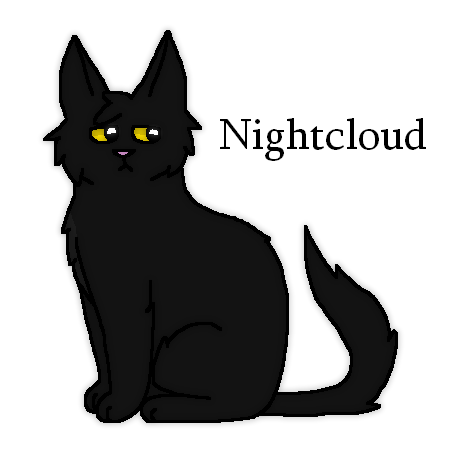 #79 - Nightcloud by Tigerstar52 on DeviantArt