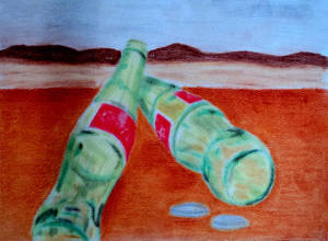 Bottles in the Desert