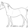 Kholran's Arabian in PNG