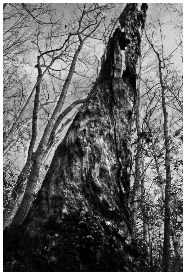 Writhe by Evilive02 on DeviantArt