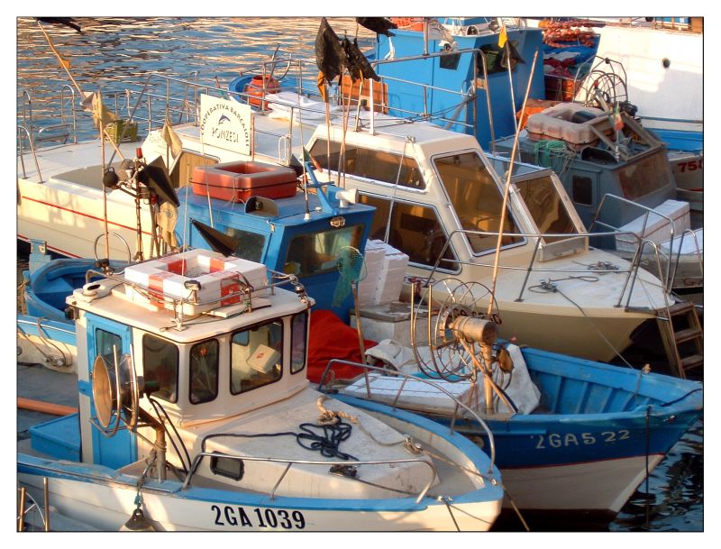 fishing boats