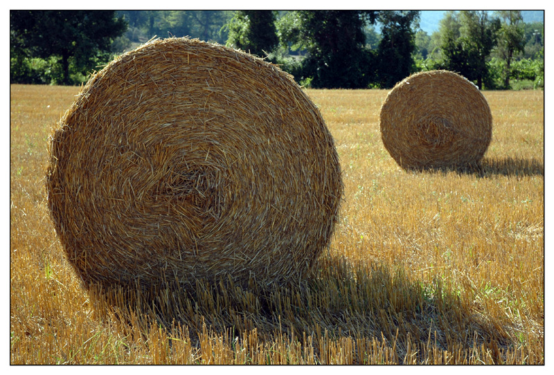 Tuscany. Minimal. Beautiful.