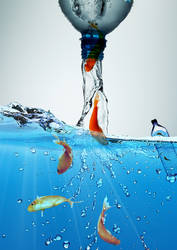 Save Water - Save Life by Brukhar