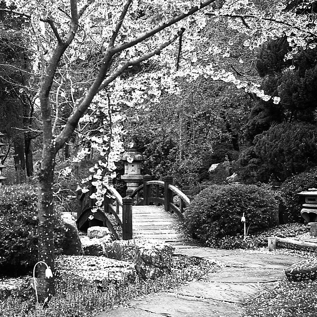 Japanese Garden I Hillwood Museum Washington Dc By Rdungan1918 On