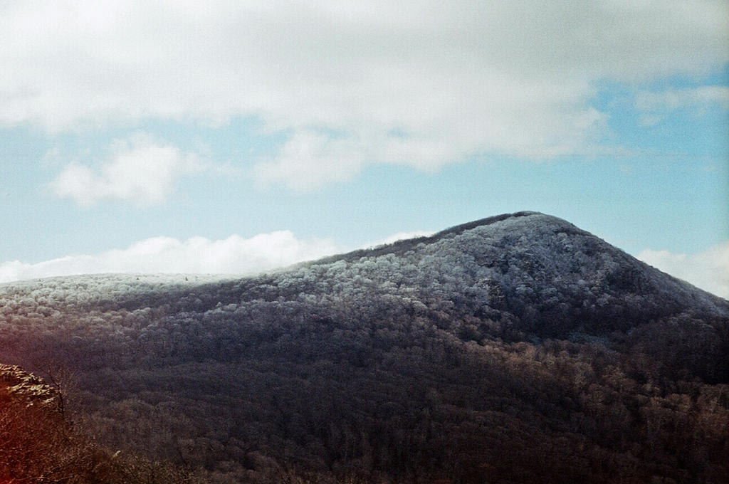 Ice on trees melting Shenandoah National Park by rdungan1918