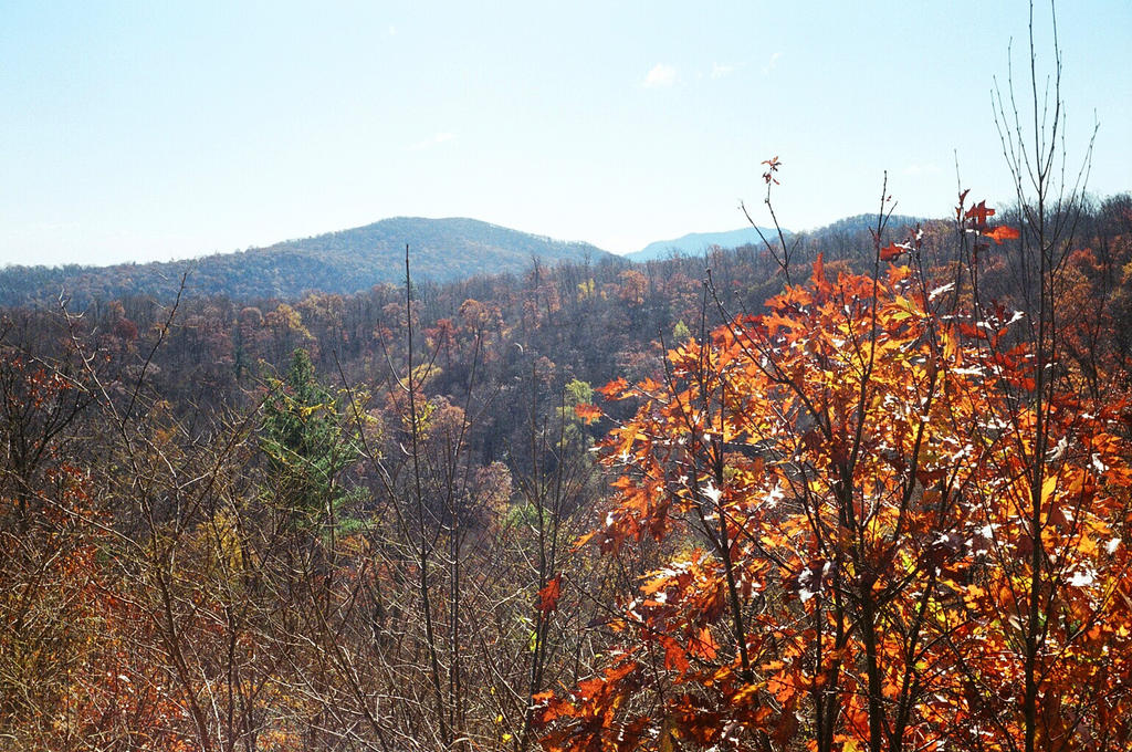 Shenandoah National Park from Skyline Drive by rdungan1918