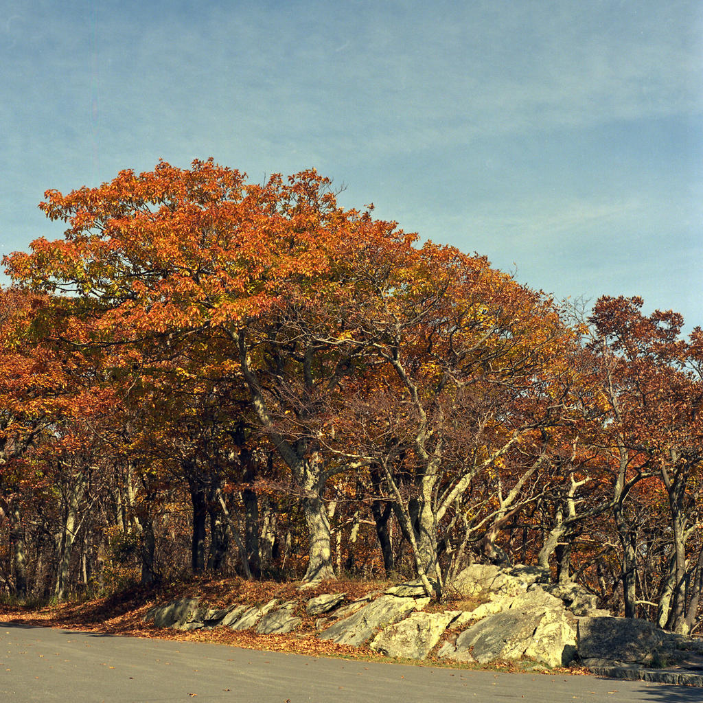 Skyline Drive