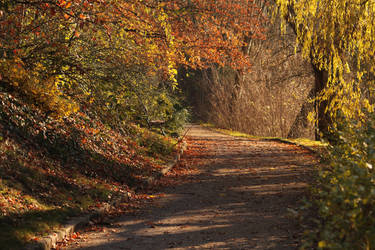 Herbstlicher Weg