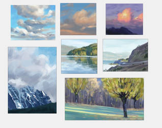 Landscape and cloud studies