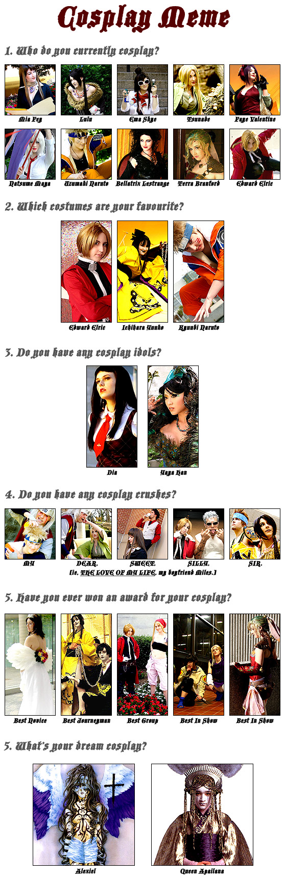 Cosplay Collage Meme.