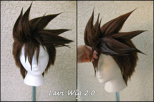 Wig Commission: Lavi 2.0