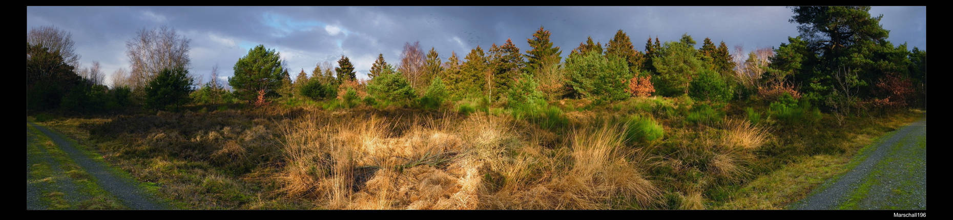 Nature Panorama